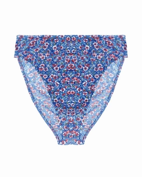 Catskill Summer Tulle High Cut Brief
